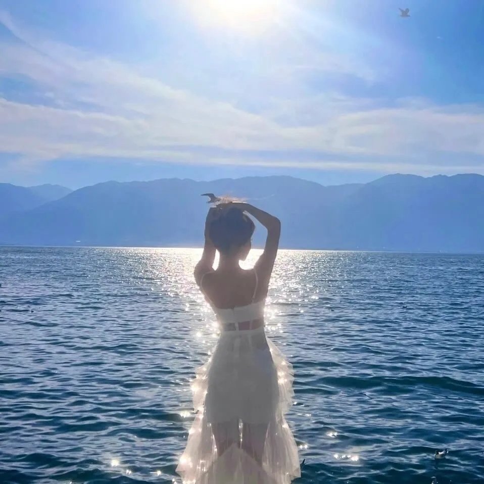 一秒变总统 第二季